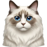 Ragdoll cat sticker