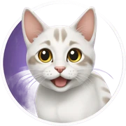🐱 قطة  sticker