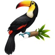 Toucan sticker