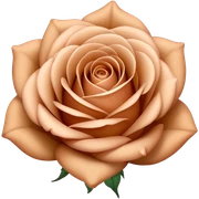 Light brown rose sticker