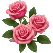 Roses in Rose sticker