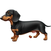 dachshund sticker