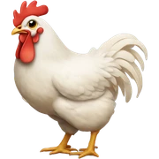 chicken sticker