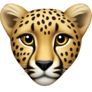 Cheetah heart sticker