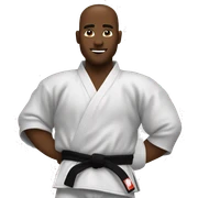 Black belt  sticker