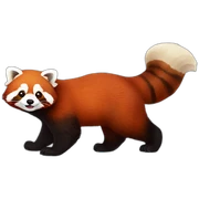 Red panda sticker