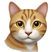 Cat sticker