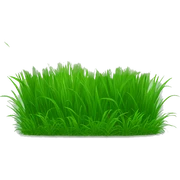 grass sticker