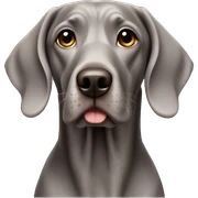 Weimaraner  sticker