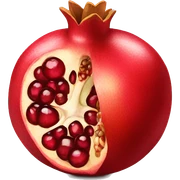  Pomegranate sticker