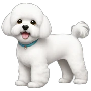 bichon frise sticker