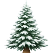  actual white fir christmas tree isolated.  sticker
