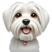 Maltese terrier dog white sticker