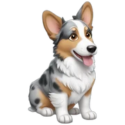 blue merle corgi sticker
