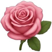 Caca rose sticker