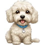 Perrito maltipoo  sticker