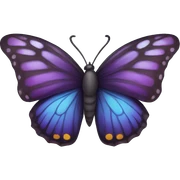 butterfly  sticker