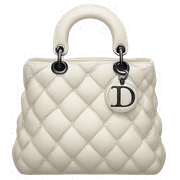 Dior bag  sticker
