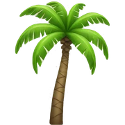 palm tree sticker