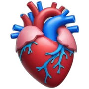 Human Heart sticker