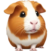 ginger guinea pig sticker
