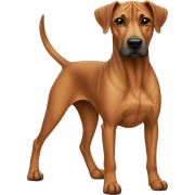 Ridgeback dog sticker