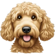 Gooldendoodle sticker