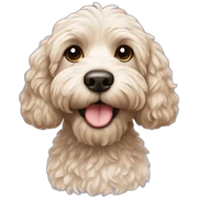cockapoo sticker