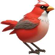 rouge gorge sticker
