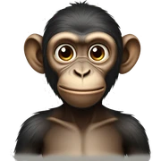  monkey  sticker