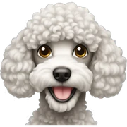 Poodle sticker