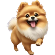 Pomeranian dancing sticker