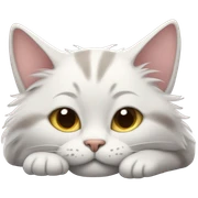 Sleeping cat sticker