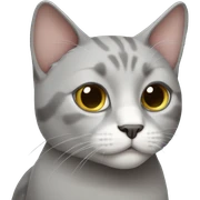 grey cat sticker