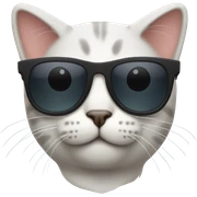 Cat with sunglasses sticker