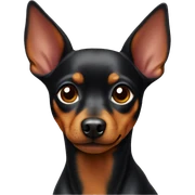 Mini pinscher sticker