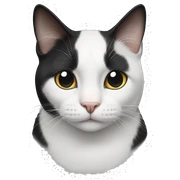 Tuxedo cat with white mark onface sticker