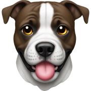 Staffordshire with a ball sticker