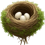 nest sticker