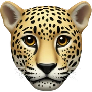 Jaguar  sticker