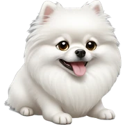 White Pomeranian shpits  sticker