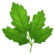 leaves sticker