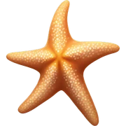 star fish sticker