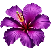 Realistic, detailed, 3D rending, Deep purple color Hibiscus HIbiscus  sticker