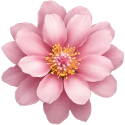 Pink sticker