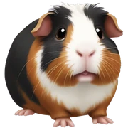 guinea pig sticker