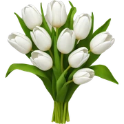 white tulip bouquet  sticker