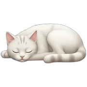 cat sleeping sticker