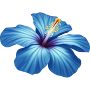 Blue hibiscus flower sticker