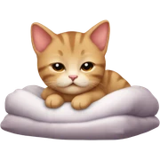 Chaton qui dort sticker
